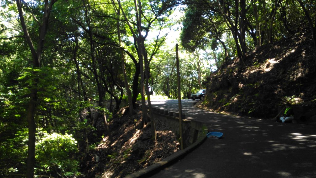 比治山の道路