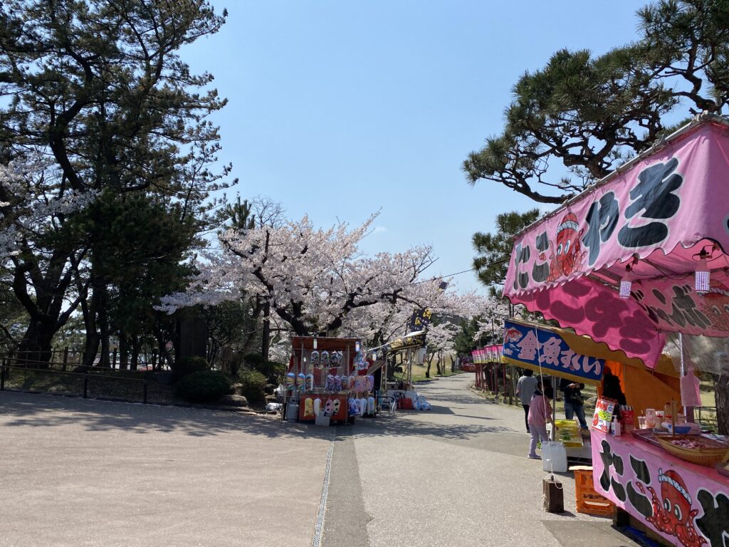 日和山公園 桜と露店